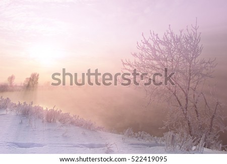 Winter landscape. Frost frost on the trees. Mist evaporation of water. Blue sky. Sunny day. Opaque air saturated with water vapor, filled with bright light of the sun