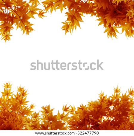 Autumn Leaves on White Backgroundd Royalty-Free Stock Photo #522477790