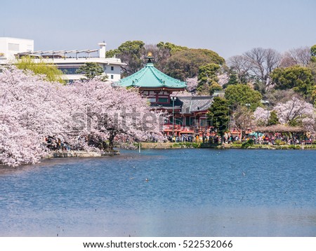 Ueno Park in Tokyo, Japan Royalty-Free Stock Photo #522532066