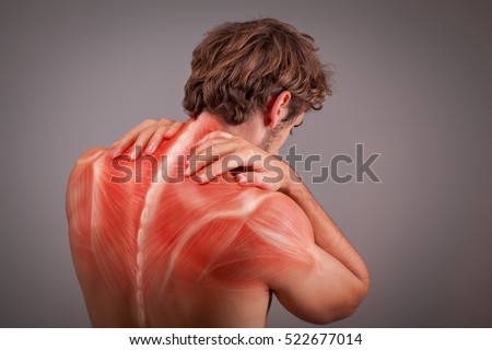 Musculature of athlete back and shoulders Royalty-Free Stock Photo #522677014