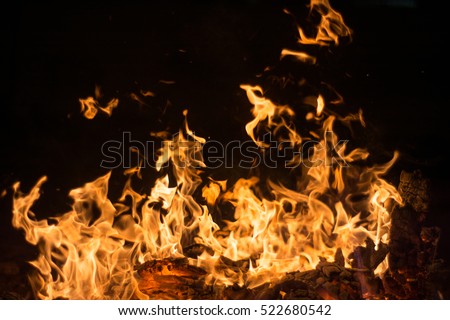 Burning wood at night Flame and fire sparks on dark abstract background fire element