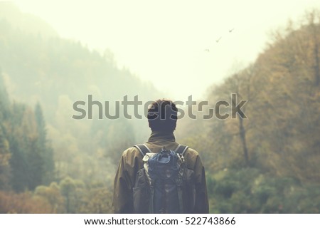 hiker observing the the green valley Royalty-Free Stock Photo #522743866