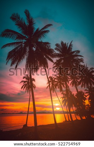 Silhouette coconut palm trees on beach at sunset. Vintage tone. Royalty-Free Stock Photo #522754969