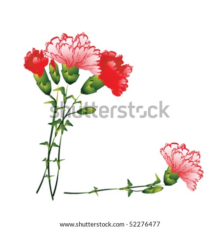 vector illustration of carnation