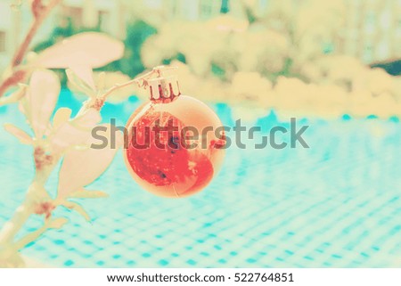 Decorated Christmas on  tree,near at pool