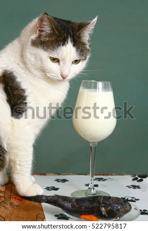 wine glass of milk raw fish and cat close up portrait