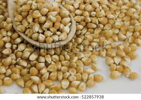 Corn grains and wooden spoon on white background. Still-life picture taken in studio with soft-box.
