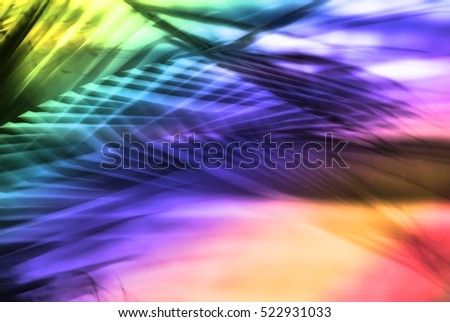 Abstract tropical palm tree in motion against sunlight background. Dynamic nature pattern, blurred leaves in jazzy colors moving in wind on beach Miami Florida, for travel banner business blog, shop