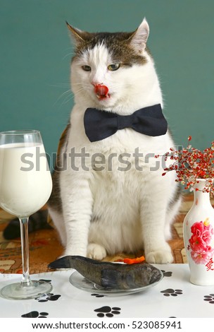 wine glass of milk raw fish and cat close up portrait , Cat in the restaurant lick its lips