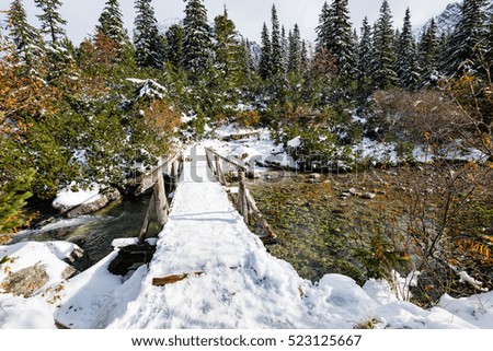 carpathian mountains in winter snow. romania, slovakia hiking tourist trails
