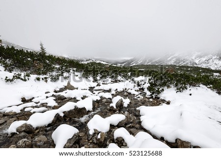 carpathian mountains in winter snow. romania, slovakia hiking tourist trails