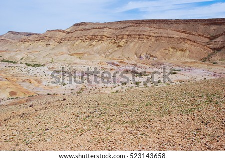 Makhteshim Mitzpe Ramon. Small Machtesh (Crater) â?? Israel. Negev Desert. Spring in the desert. Israel Color of the Earth, where the soil has a lot of different colors.