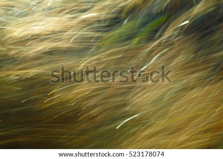 Colour multicolored abstract background, movement dynamics