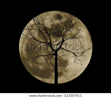 Silhouetted black tree on blurry full moon background.