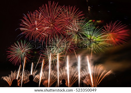 Colorful fireworks light up the night sky