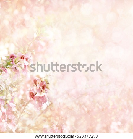 Summer blossoming pink angelonias background, selective focus, shallow DOF, toned, light and heart bokeh background, pastel and soft card