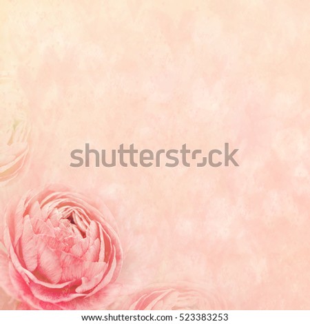 Summer blossoming pink ranunculus background, selective focus, shallow DOF, toned, light and heart bokeh background, pastel and soft card