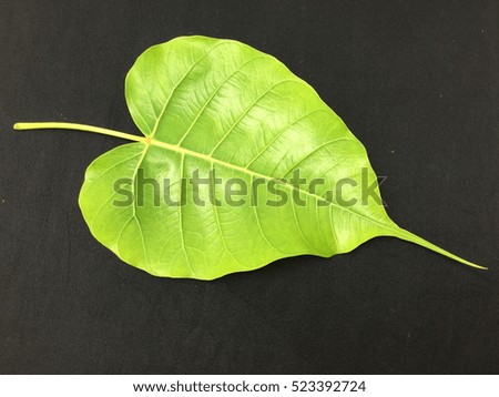 Seamless green leaves background