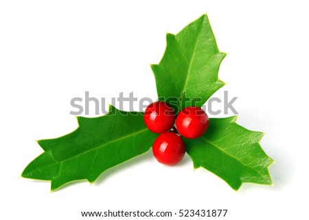 Bright green Christmas holly with red berries isolated on white Royalty-Free Stock Photo #523431877