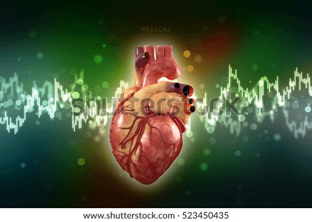 3d rendering Human Heart - Anatomy of Human Heart