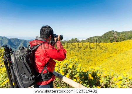 Photographer take a photo for The road to the field of yellow Mexican Sunflower Weed on the mountain,Mae Hong Son Province,Thailand. pang ung, pinging, Chiang Mai, pai, flower