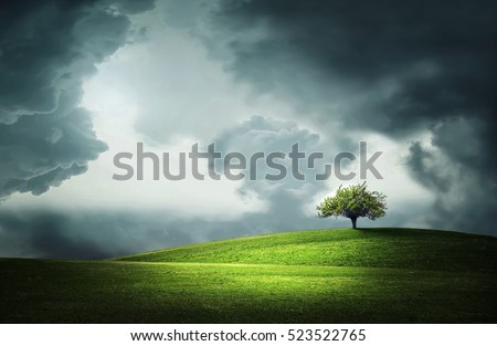 Lonely tree Royalty-Free Stock Photo #523522765