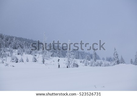 Trees covered with hoarfrost and snow in winter mountains - Magic Christmas snowy background