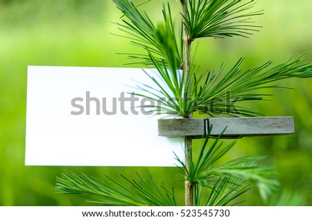 Blank card pinned on a green tree. Space for wordings. Pinned with a clothespin