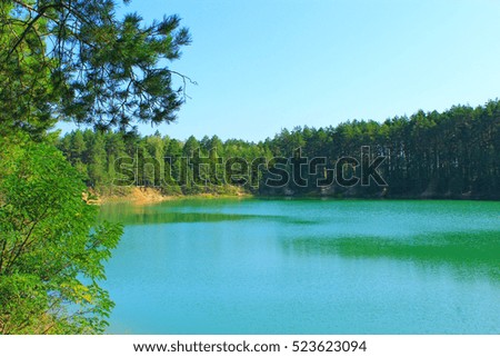beautiful summer landscape with picturesque lake in the forest