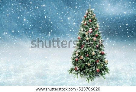 Beautiful christmas tree in wonderful snowy winter landscape