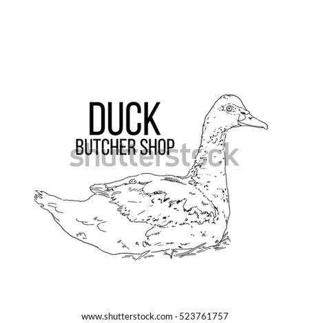 Logo of agriculture Poultry. Duck hand-drawn silhouette, farm fresh, butcher shop. 