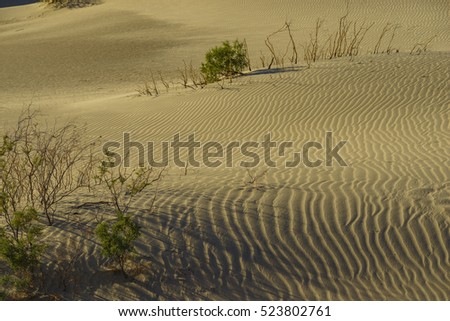 The beautiful Mesquite Flat Dunes at Stovepipe Wells, Death Valley National Park