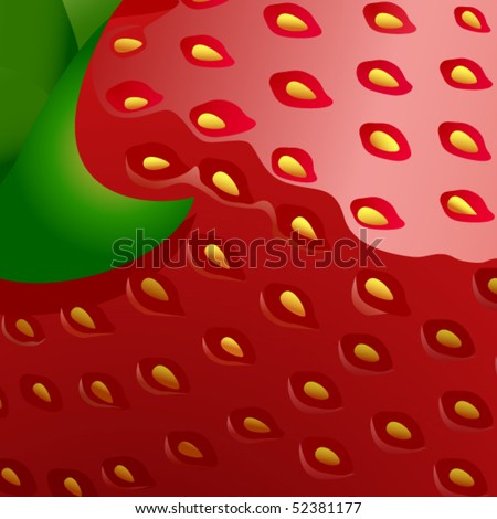 Strawberry Close-up - vector illustration
