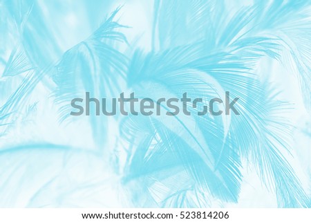green turquoise vintage color trends chicken feather texture background