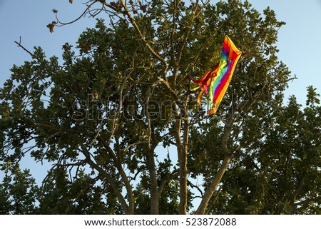 A colorful kite got tangled on high tree branches on blue sky background