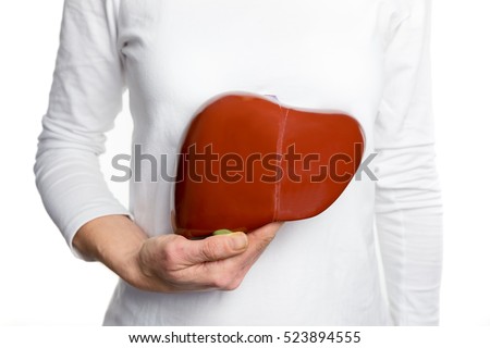 Female person holding red human liver model at white body Royalty-Free Stock Photo #523894555