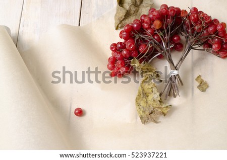Viburnum bouquet (guelder rose) on a butter paper on a wooden background Royalty-Free Stock Photo #523937221