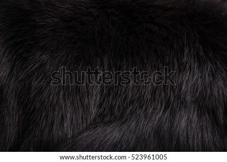 Texture beautiful black fluffy fox fur close-up. Black background Royalty-Free Stock Photo #523961005