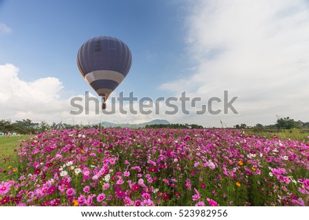 Hot air color balloon over cosmos flowers with blue sky