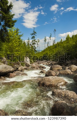 beautiful mountain river with clean water
