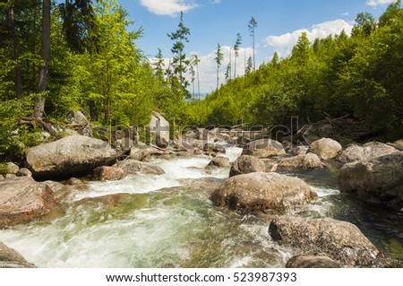 beautiful mountain river with clean water