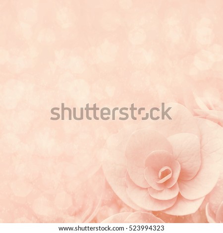 Summer blossoming hydrangea, selective focus, shallow DOF, toned, light and heart bokeh background, pastel and soft card