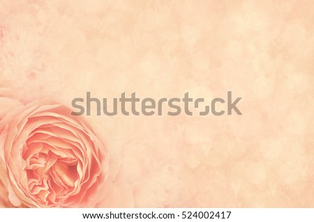 Summer blossoming roses background, selective focus, shallow DOF, toned, light and heart bokeh background, pastel and soft card