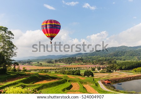 color air balloon over cosmos flower and blue sky background 