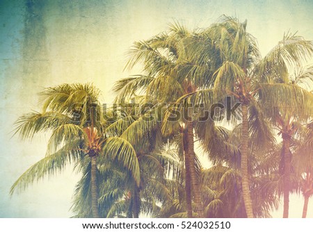 Vintage palm background texture
