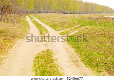 road in spring forest