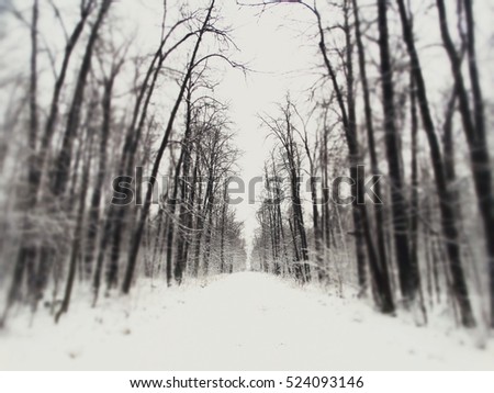 Winter forest in snow minimalism style hues nature trees wallpaper view background