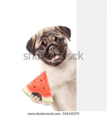 Dog holding watermelon and peeking from behind empty board