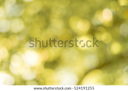 Abstract photo with nature bokeh