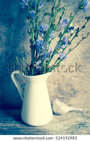 Chicory  flowers in vase/toned photo